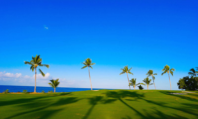 view of golf course and palm trees