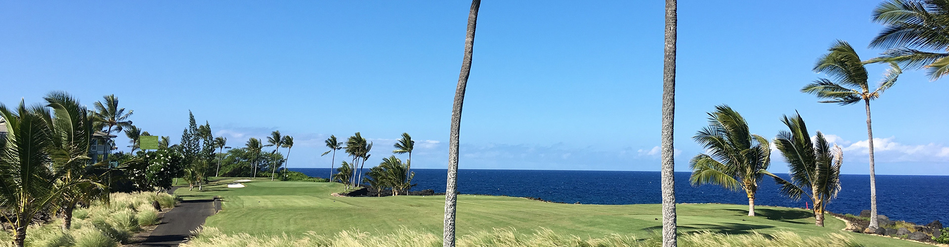 view of golf course green and palm trees